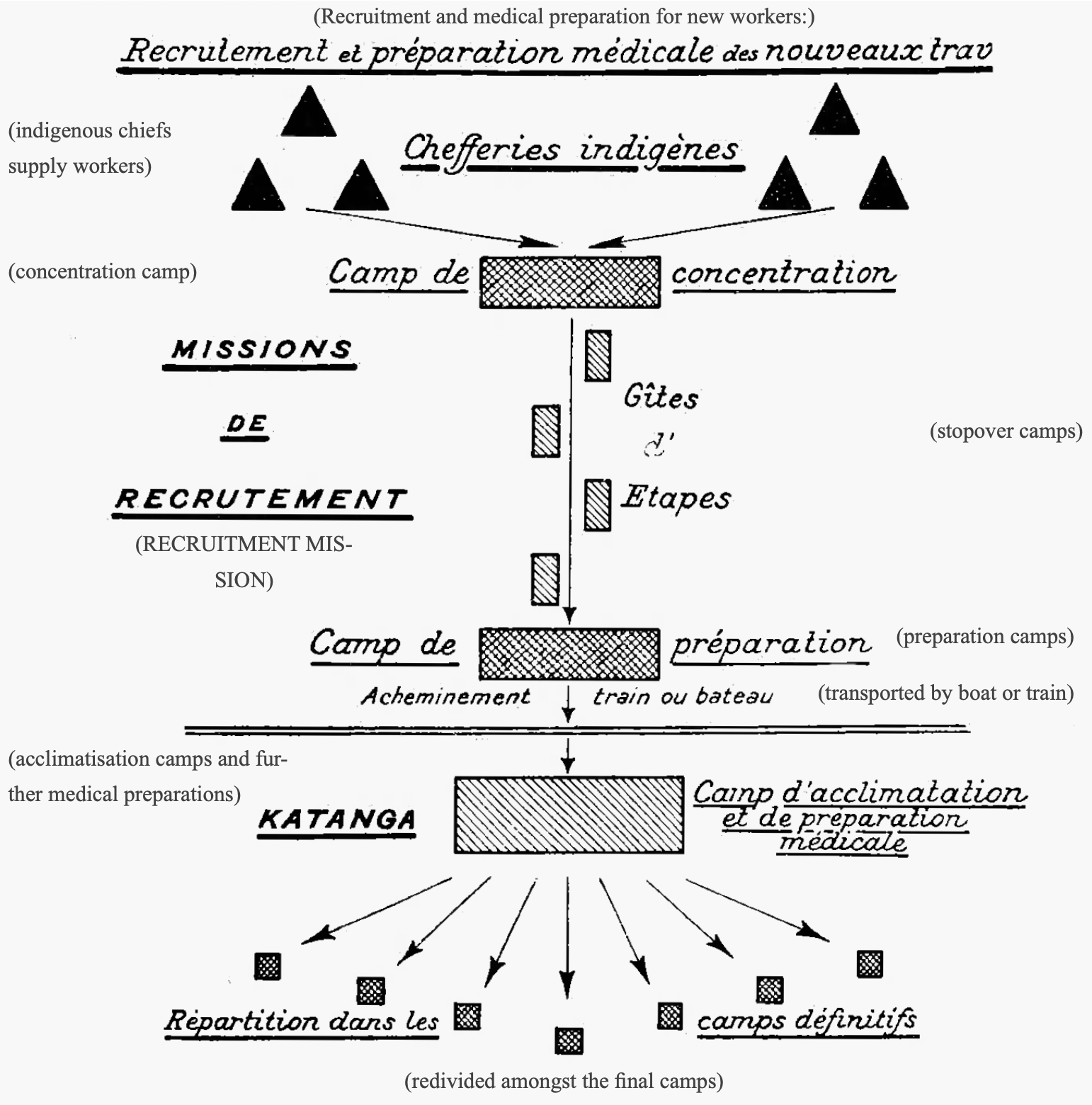 Diagram illustrating the UMHK recruitment and medical preparation pipeline: from indigenous chiefs supplying workers, through concentration camps, stopover camps, preparation camps, and transport by boat or train, to acclimatisation camps in Katanga, before distribution to final camps.